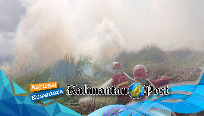 107 Kali Kebakaran Hutan dan Lahan di Kalsel Sepanjang 2026, Manggala Agni Padamkan 321 Hektare