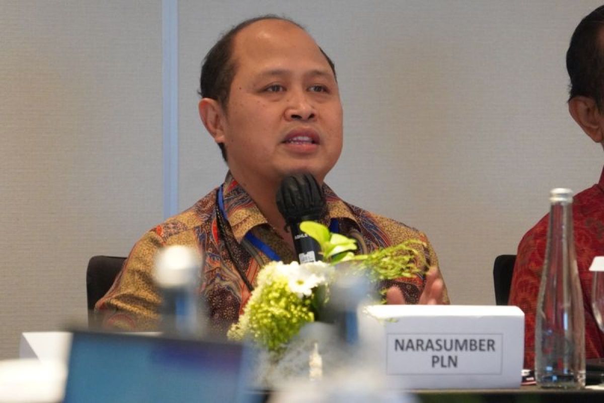 Kebutuhan Listrik Bali Tumbuh 8,02 Persen, PLN Siapkan Tambahan Pasokan 2,74 GW