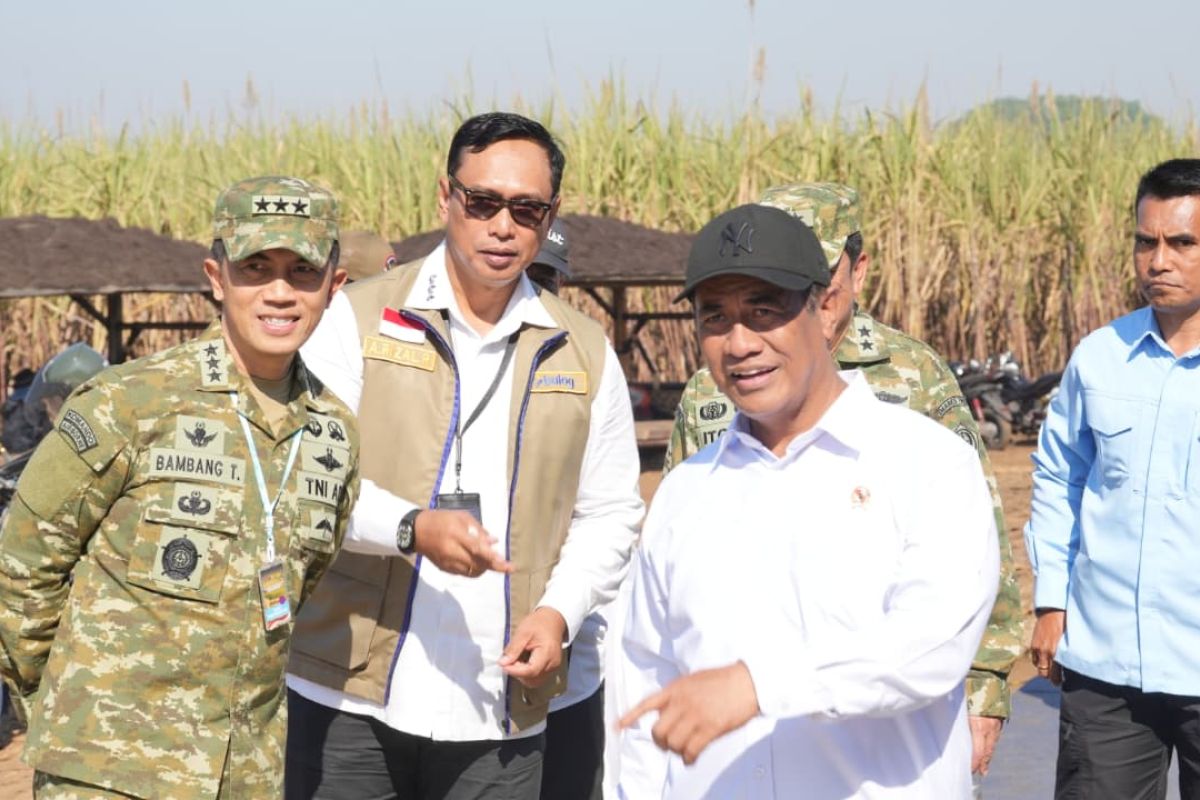 Bulog Serap Gabah Setara 3,39 Juta Ton Beras, Stok Cadangan Pemerintah Tembus 5,2 Juta Ton