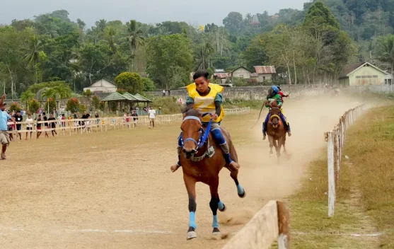 Gubernur NTT dan Ketua KONI Pusat Tinjau Pacuan Kuda Sumba Barat Cup 2026, Siapkan Atlet Menuju PON 2028