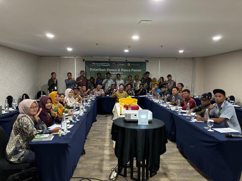 BPDP dan AKPY Latih 156 Pekebun Sawit di Paser, Targetkan Kualitas TBS Naik dan Rendemen Minyak Meningkat