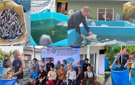 Kelompok Pembudidaya Ikan di Tarakan Dapat Pelatihan Teknologi RAS, Hemat Air dan Tingkatkan Hasil Panen Lele