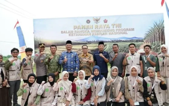 Bupati Aceh Tamiang Panen Raya Bersama TNI di Lahan Pascabanjir, Target Produksi 1.201 Ton Gabah