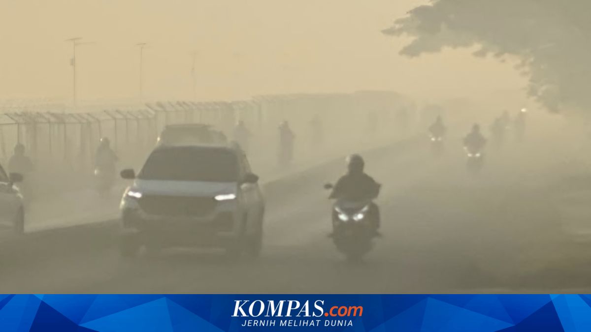 Kabut Asap Karhutla Selimuti Banjarbaru, Enam Penerbangan di Bandara Syamsudin Noor Terganggu