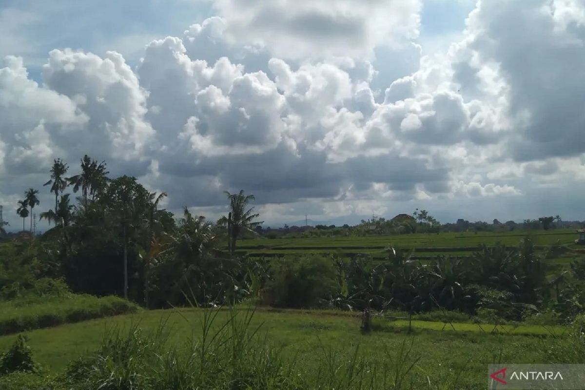 Cuaca Denpasar Senin Diprakirakan Berawan, BMKG Ingatkan Ini untuk Wilayah Timur Indonesia