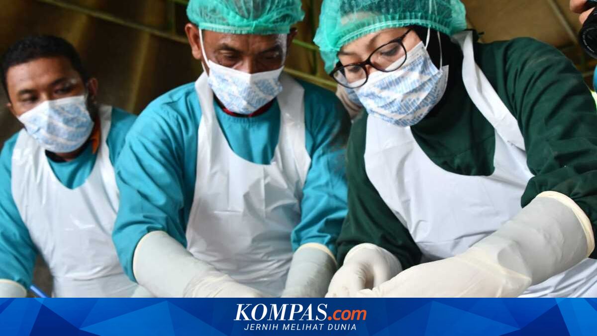 Polres Aceh Timur Bongkar Makam Bayi Perempuan di Sungai Arakundo, Temukan Tanda Kekerasan di Lengan dan Paha