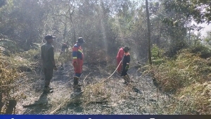 Petugas Damkar Lingga Padamkan Kebakaran Lahan 1,5 Hektare di Belakang SMP Negeri 1 Kuala Raya, Singkep Barat