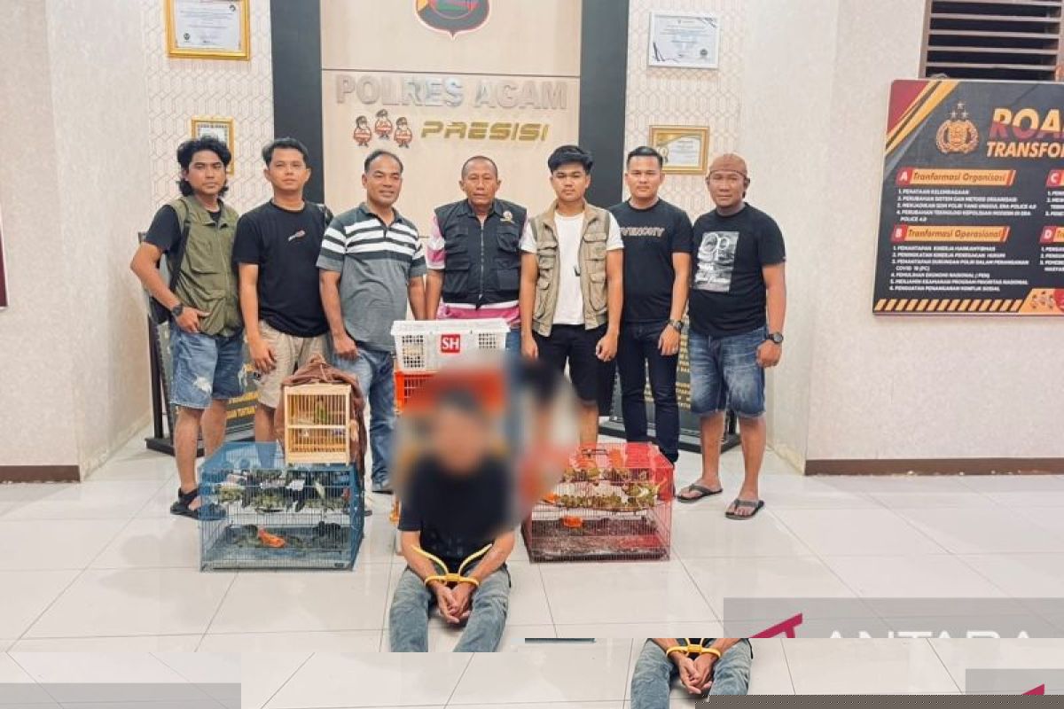 BKSDA Sumbar dan Polres Agam Amankan Pelaku Perdagangan 225 Ekor Burung Antarprovinsi, Sebagian Dilindungi