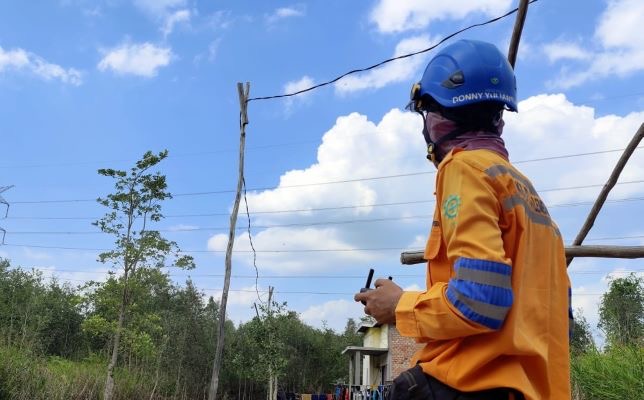 PLN Palembang Inspeksi SUTET 275 kV Betung-Sungai Lilin Pakai Drone Termal, Pasokan Listrik Tak Padam