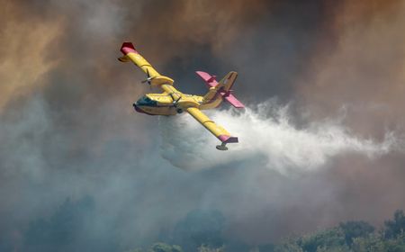 Spanyol Minta Bantuan Pesawat ke Uni Eropa, 10.000 Orang Dievakuasi Akibat Kebakaran Hutan