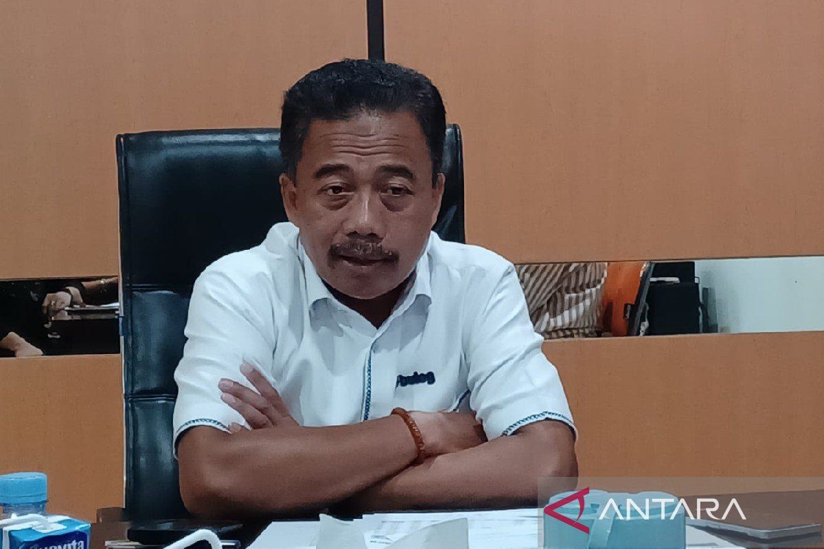 Bulog Papua Serap 398.077 Kg Jagung Petani pada Semester Pertama 2026, Sentra Produksi di Keerom Dominasi Pasokan