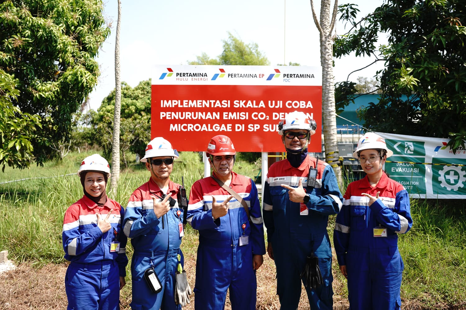 PDC dan PHE Uji Coba Alga Penyerap Karbon di Subang, Serap 0,11 MMscfd CO2
