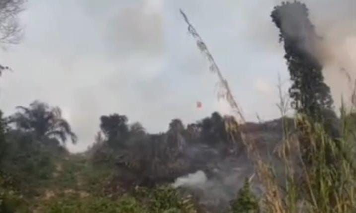 BPBD Tebo Kerahkan Water Bombing Padamkan 3 Hektare Lahan Terbakar di Desa Semambu, Area PT TAL Ikut Terdampak