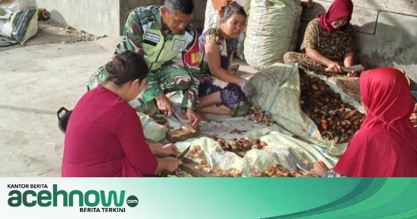 Babinsa Koramil 09/Ketol Bantu Kupas Pinang Warga di Desa Kala Ketol, Aceh Tengah, Dorong Ketahanan Pangan Lokal