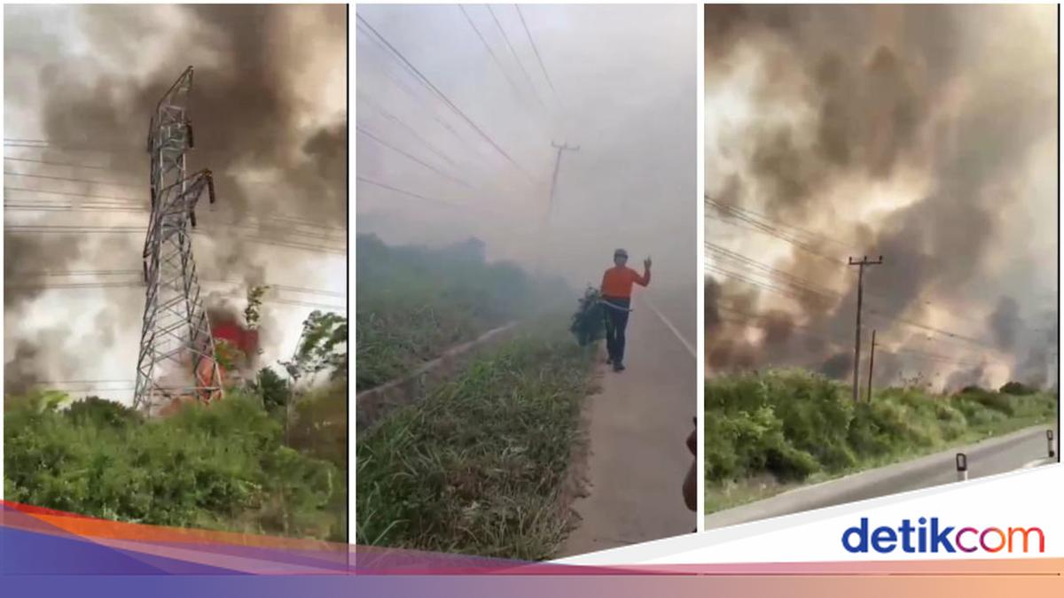 Kebakaran 10 Hektare Lahan di Tulang Bawang Ancam Tower Sutet, Damkar Padamkan Api dalam Dua Jam