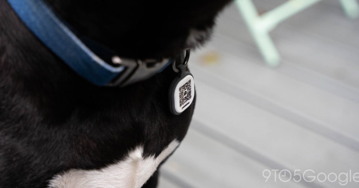Pebblebee Luncurkan Bag Tag dan Collar ID Tanpa Baterai untuk Lacak Koper dan Hewan Peliharaan