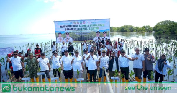 Luas Mangrove di Sulsel Baru 10.907 Hektare dari Potensi 124.146 Hektare, Pemprov Ajak Percepat Pemulihan saat Hari Mangrove Sedunia 2026