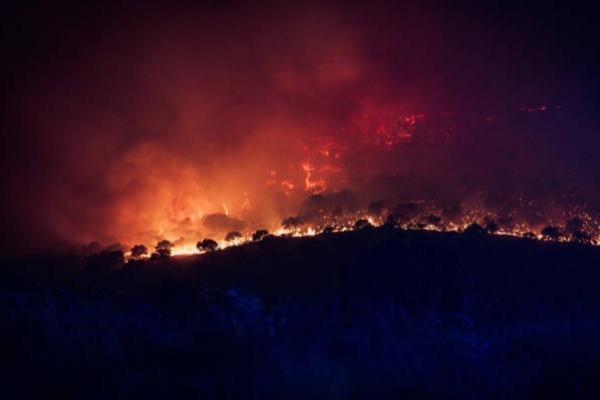 Lebih dari 121.000 Warga Spanyol Terdampak Kebakaran Hutan, Luas Lahan Terbakar Tembus 152.678 Hektare