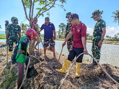 Satgas TMMD 1404 Pinrang Tak Cuma Bangun Jalan, Mereka Juga Bersihkan Hama Tikus di Sawah Petani Desa Tanratuo