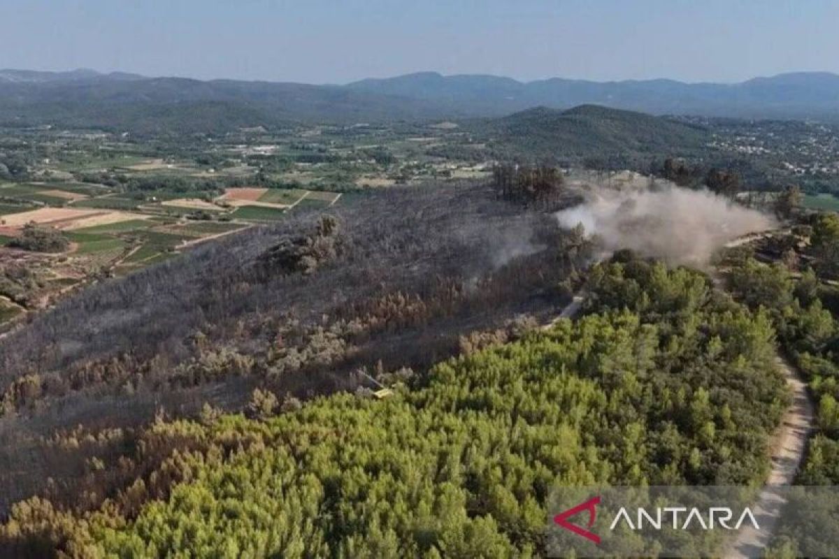 Prancis Evakuasi 220 Ribu Warga Akibat Kebakaran Hutan di Gironde, Presiden Macron Sebut Rekor Terburuk sejak PD II