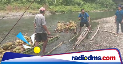 Petani Ahiolo dan Watui di Seram Bagian Barat Andalkan Rakit Bambu Angkut Hasil Bumi, Akses Jalan Masih Terputus 5 Kilometer