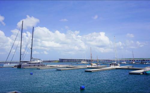 Pelindo Resmi Operasikan Dua Dermaga Marina di Benoa Bali, Target Tampung 180 Kapal Pesiar pada 2027