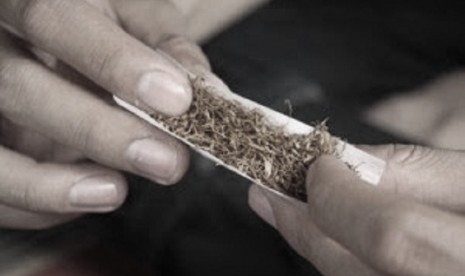 Kementan Buka Tiga Jurus Ilmiah Turunkan Kadar Nikotin Tembakau, Petani Bisa Terapkan