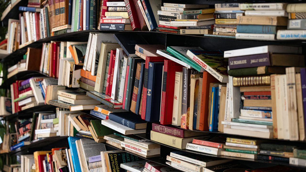 Perusahaan AI Hancurkan Jutaan Buku Fisik demi Melatih Model Bahasa, Praktik Pembelian Rahasia Terungkap