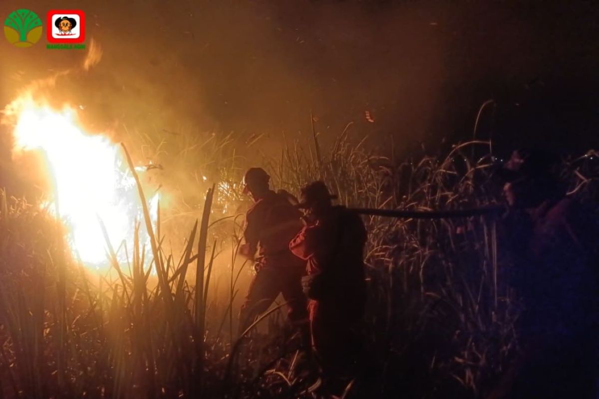 Manggala Agni dan Tim Gabungan Padamkan Karhutla 15 Hektare di Dua Lokasi Ogan Ilir, Sempat Ancam Permukiman Warga