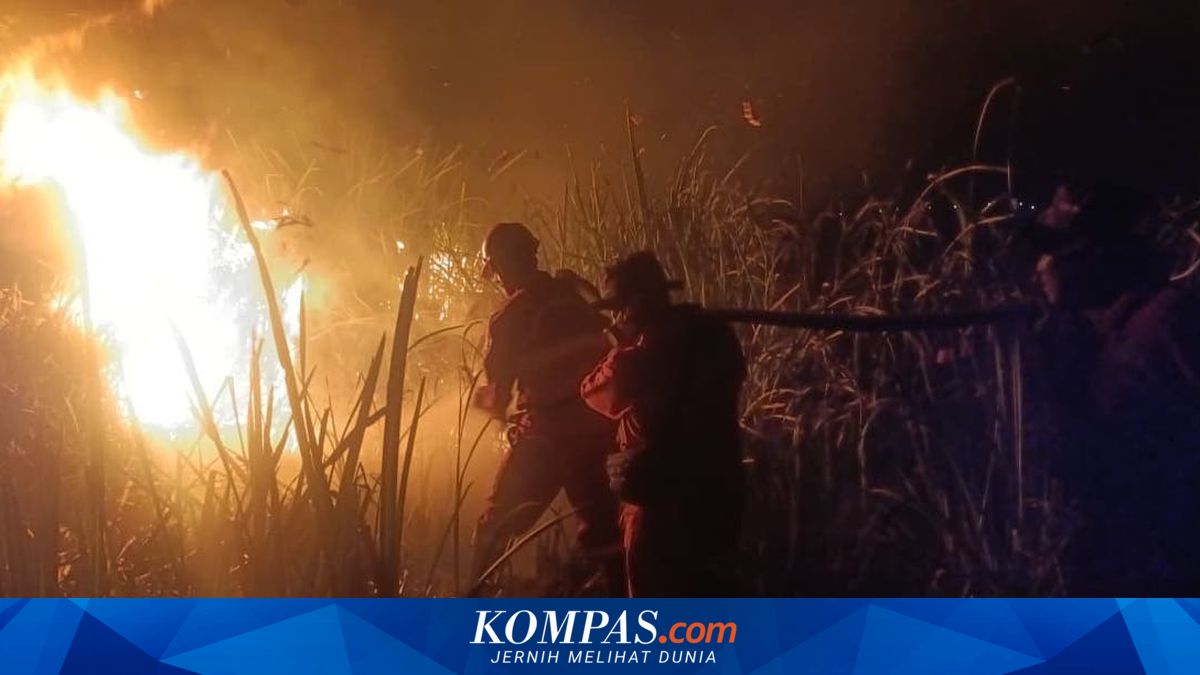 Karhutla di Sumsel Meluas ke Empat Kabupaten, Tim Pemadam Kesulitan Akses ke Dua Titik Kebakaran