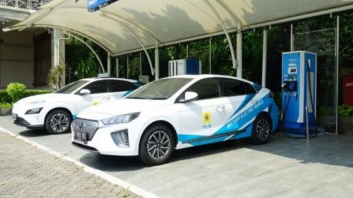 Garansi Baterai dan Asuransi Banjir Jadi Kunci Sebelum Beli Mobil Listrik, Ini Kata Sompo Indonesia