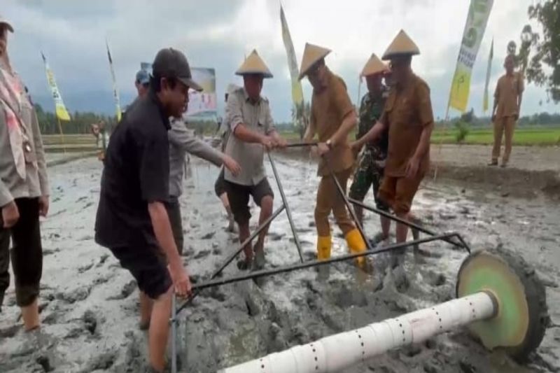 Pemkab Parimo Masifkan Metode Tanam PM-AAS di 2.280 Hektare Sawah, Target Produktivitas Padi Capai 10 Ton Per Hektare
