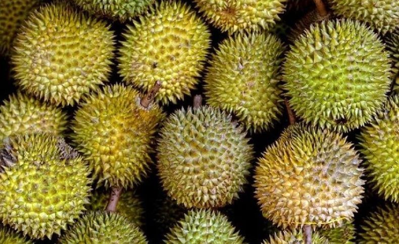 Polisi Vietnam Tangkap Wakil Menteri Pertanian atas Skandal Durian ke China