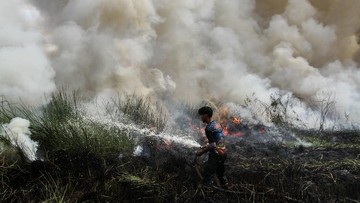 BMKG Sebut Enam Provinsi Rawan Karhutla Saat Musim Kemarau, Pemerintah Siapkan OMC