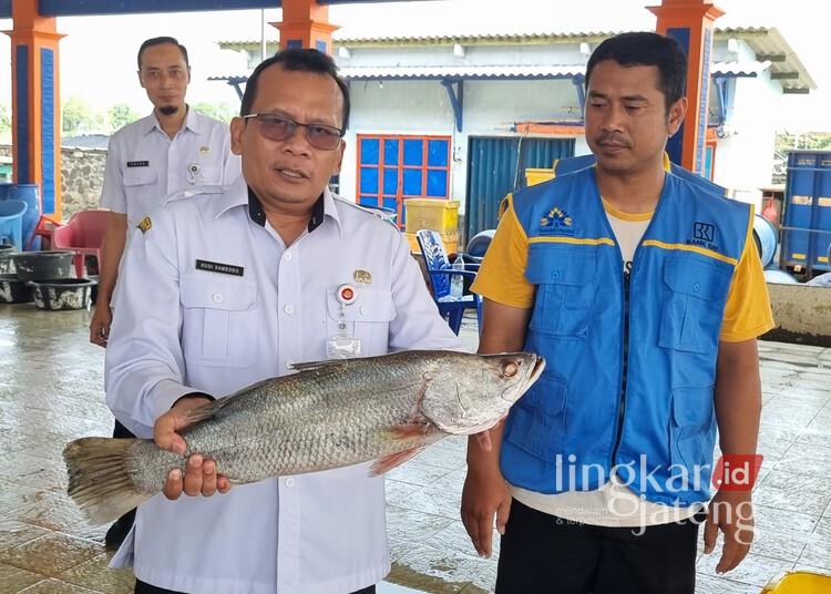 DKP Kendal Siapkan Aplikasi PESTA TUNA untuk Digitalisasi Administrasi Tempat Pelelangan Ikan