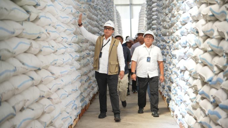Bulog Borong 3,5 Juta Ton Beras Petani, Target 4 Juta Ton Hampir Tembus