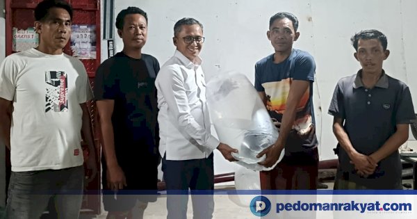 Sekretaris Komisi B DPRD Sulsel Zulfikar Limolang Serahkan 20 Ribu Bibit Ikan Nila untuk Empat Kelompok Tani di Luwu Raya