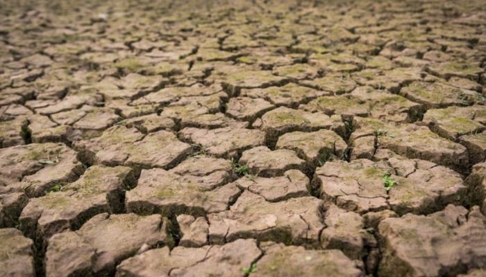 BMKG Peringatkan Dampak El Nino Sangat Kuat, Puncak Kemarau 2026 Terluas di Agustus