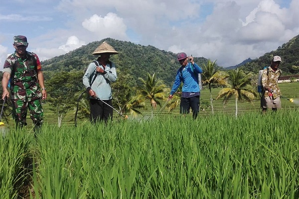 Irigasi Kalibawang Rusak Parah di Kulonprogo, 30 Hektare Sawah di Tiga Kalurahan Kekeringan Bertahun-tahun