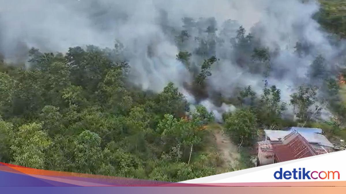 8 Kabupaten/Kota di Sumsel Jadi Zona Merah Karhhutla, Palembang Catat 35 Kejadian Sepanjang 2026