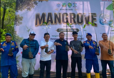 Peringati Hari Mangrove Sedunia 2026, Ditpolairud Polda Kaltim Tanam 12 Ribu Bibit Mangrove di Pantai Lamaru Balikpapan