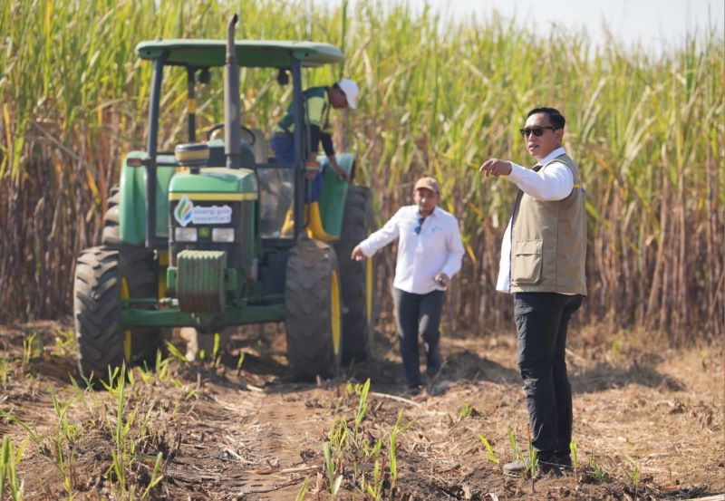 BULOG Jamin Tebu Petani Blora Tetap Terserap, Pabrik Gula PT GMM Dikebut Pulih