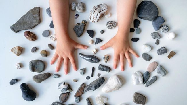 Alasan Anak Suka Koleksi Barang Random Menurut Psikologi dan Manfaatnya bagi Perkembangan