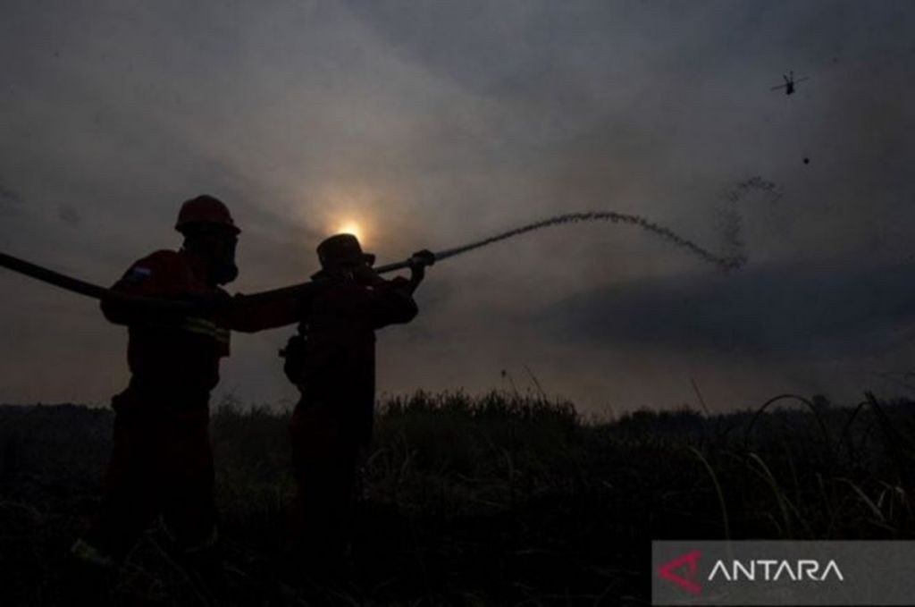 BNPB Catat Karhutla Hanguskan 20 Hektare Hutan Lindung di Aceh Besar, Api di Satu Desa Belum Padam