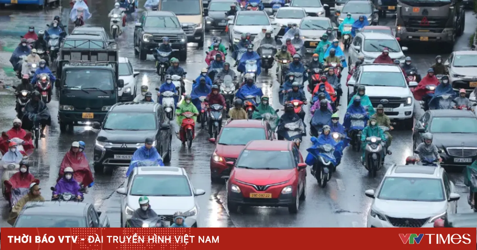 Curah Hujan Melebihi 119 mm di Quang Ninh, Peringatan Banjir Bandang dan Tanah Longsor Dikeluarkan untuk Sejumlah Wilayah