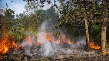 Kebakaran Lahan di Ogan Ilir Hanguskan Tujuh Hektare, Warga dan Damkar Berjibaku Padamkan Api