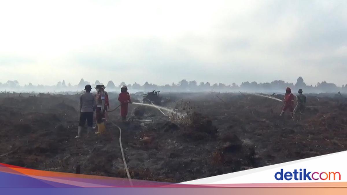 Karhutla di Jambi Capai 222 Hektare, BPBD Operasikan 81 Posko Siaga Hadapi Puncak Kemarau hingga Oktober