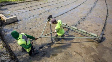 Pertamina Dukung Pertanian Modern di Cirebon, Target Produksi Padi Tembus 10 Ton per Hektare