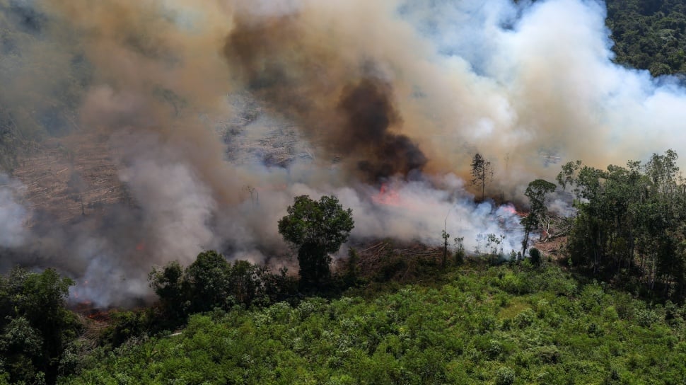 Karhutla Kembali Mengganas di Ketapang, Patroli Udara BNPB Temukan Sejumlah Titik Api Aktif di Kubu Raya hingga Kayong Utara