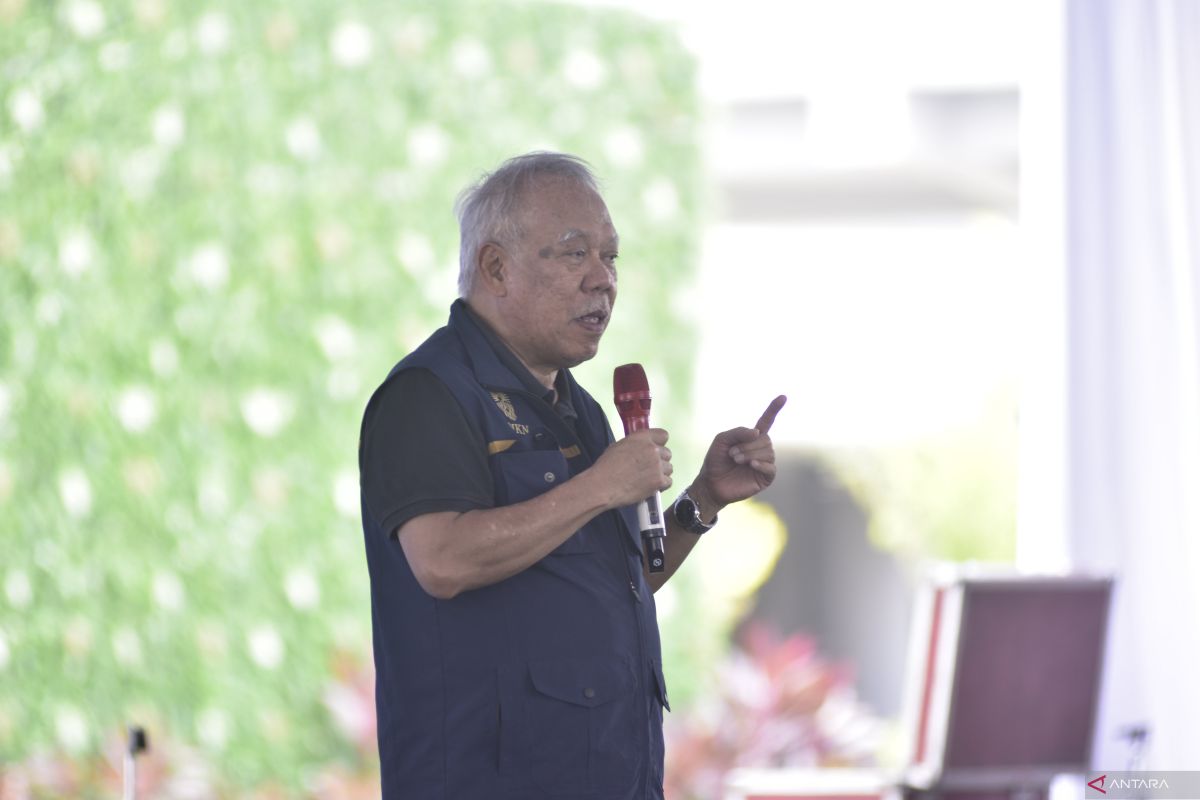 IKN Kaltim Jadi Percontohan Rehabilitasi Mangrove Nasional, 150 Hektare Bakal Ditanam Hingga 2027